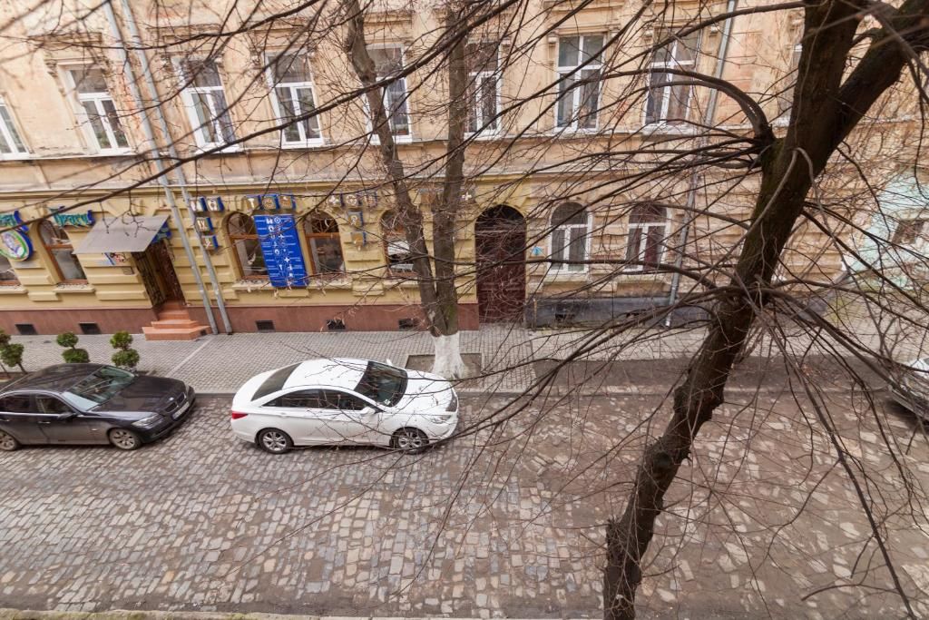 Апартаменты 3х комнатная уютная квартира в центре Львова Львов-41